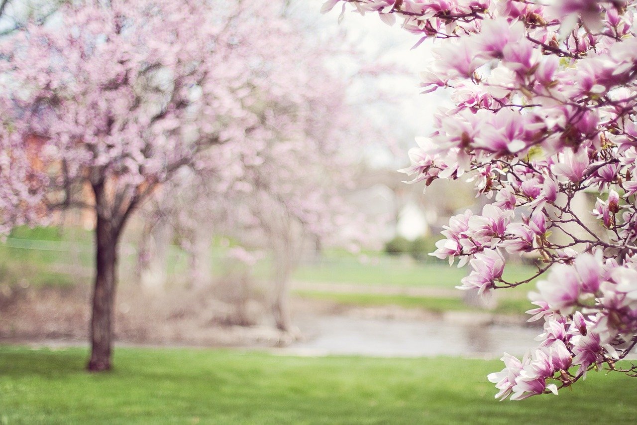 Why you should visit Italy in the Spring