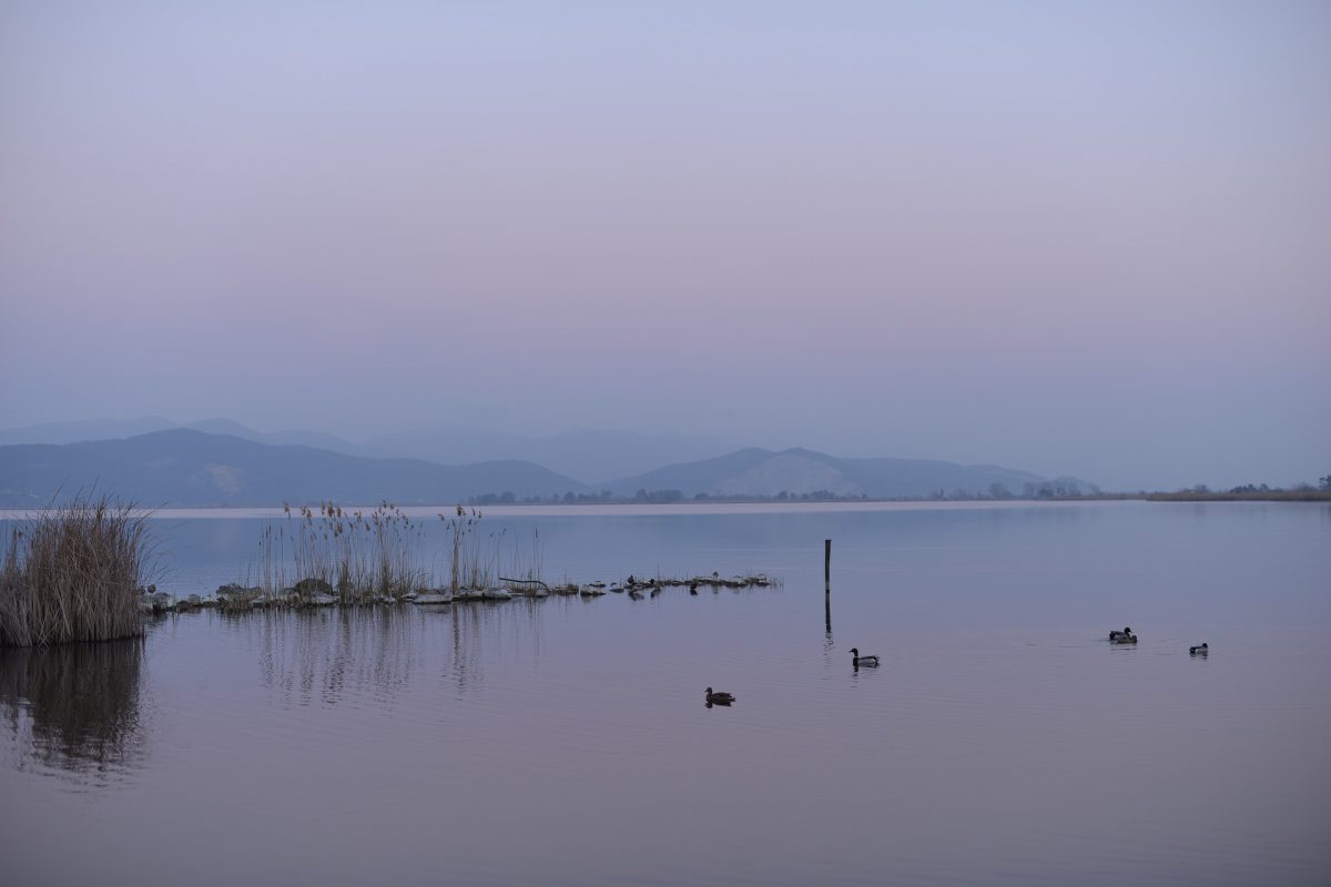 Spotlight on: Viareggio