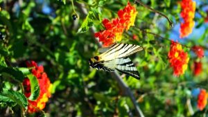things to do in Sicily