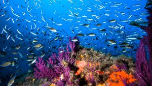 things to do in Sicily