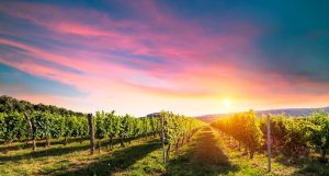 festivals in Tuscany