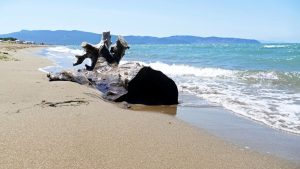 best beaches in Tuscany 