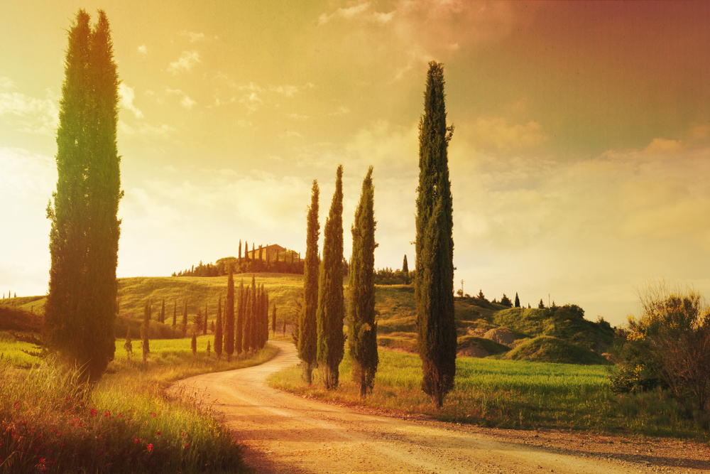 Tuscany tours: Book experiences and tours in Tuscany - Blog by Bookings ...