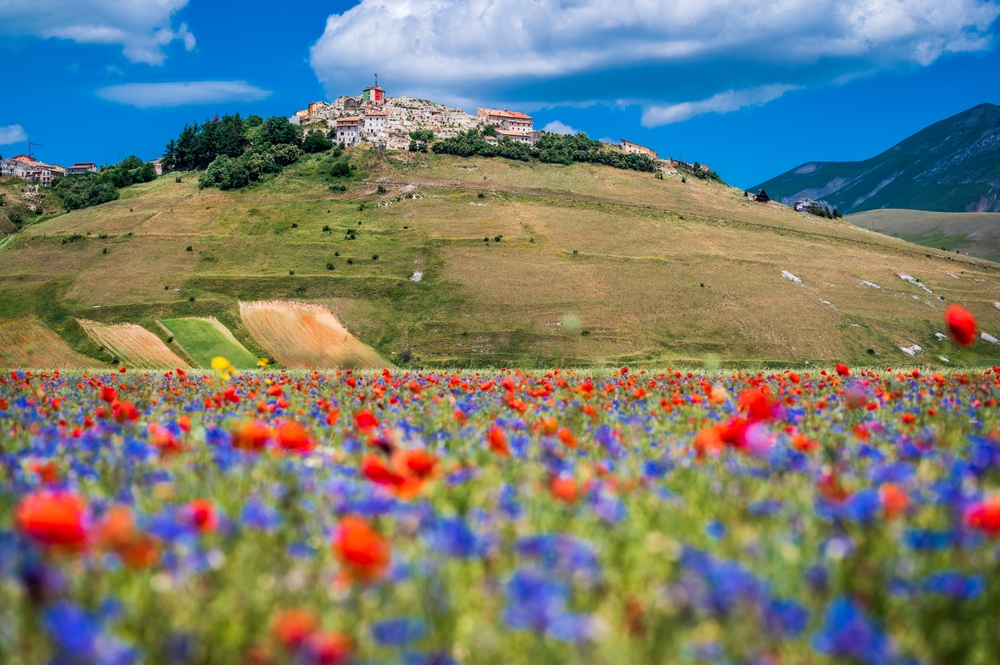 Norcia