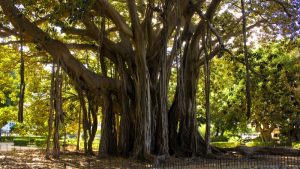 things to do in Palermo