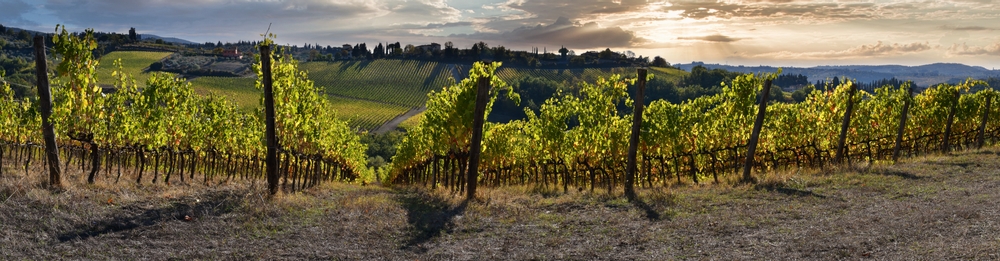 Tuscany wine tasting