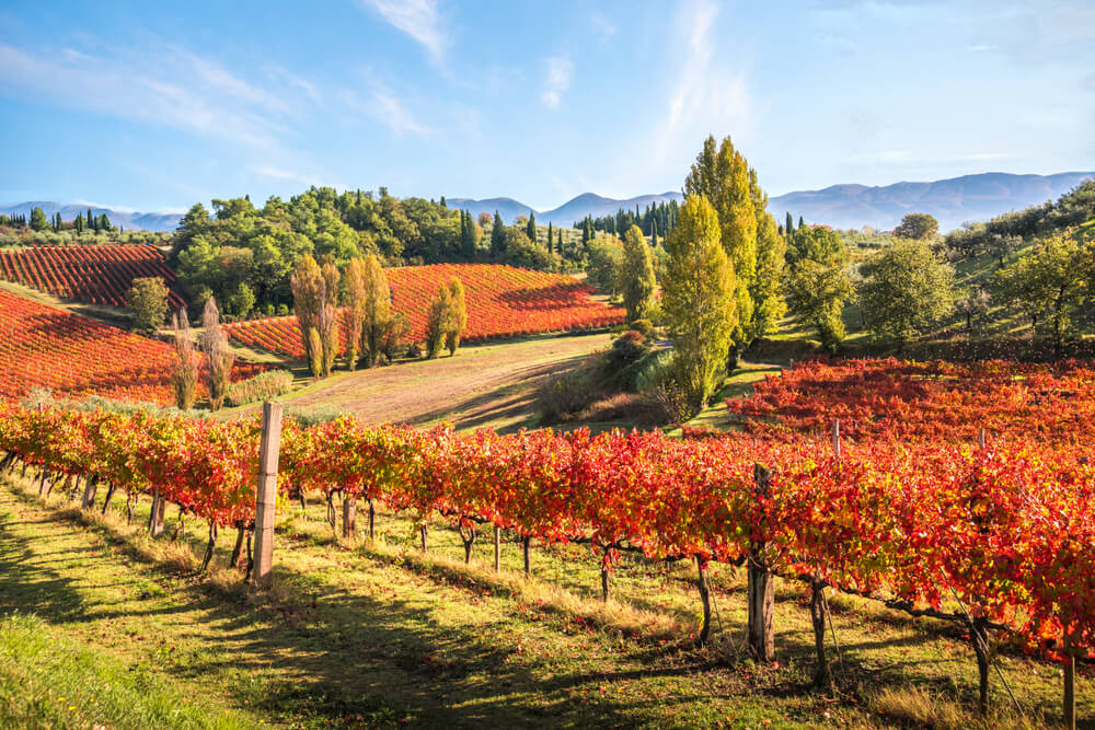 Tuscany villas