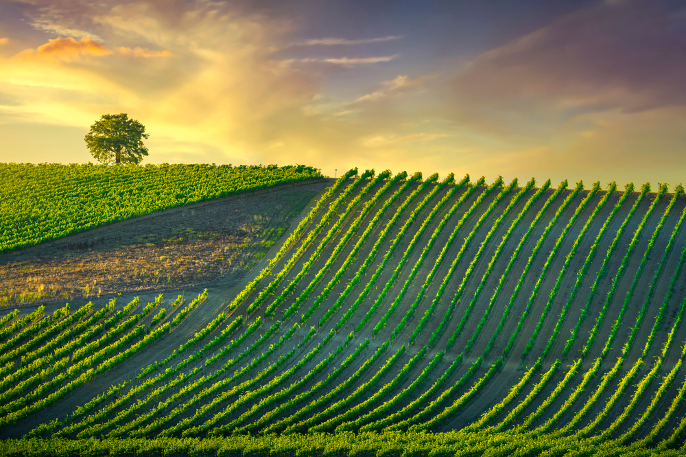 Things to do in Tuscany