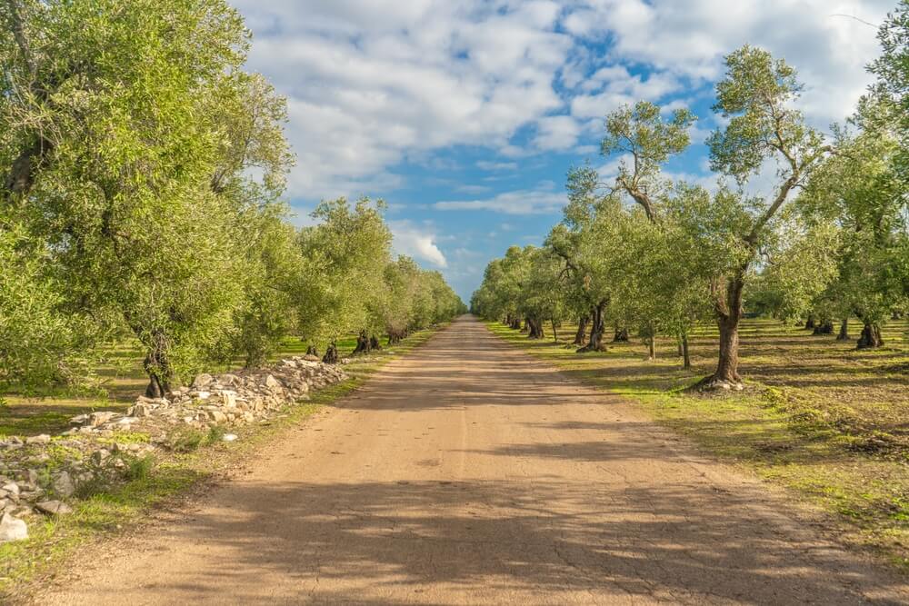 Puglia travel guide