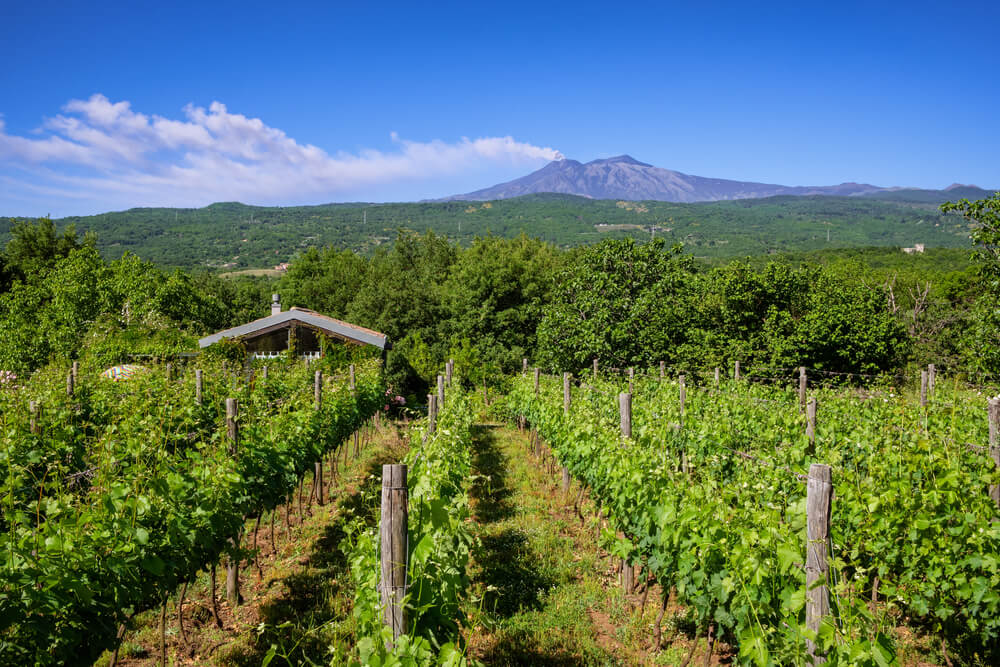 Sicily travel guide