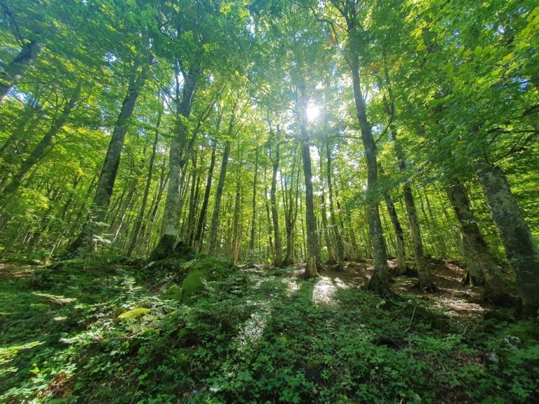 Abruzzo travel guide