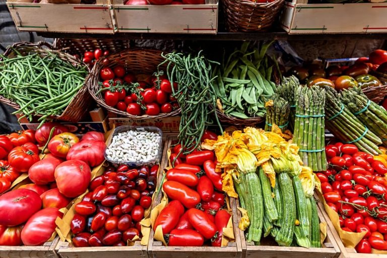 Florence travel guide