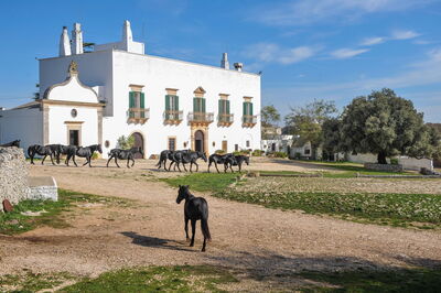 Masseria Taglia